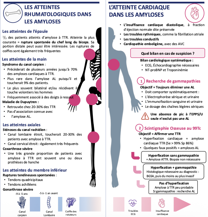 Atteintes-rhumatologiques-amyloses