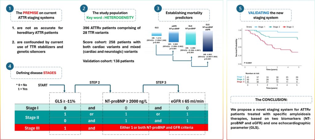 score-pronostic-ATTR-réseau-amylose