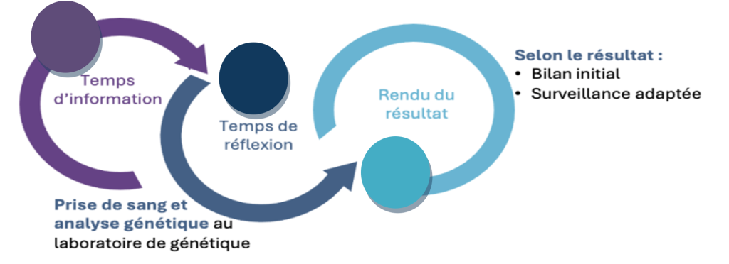 étapes-conseil-genetique-reseau-amylose