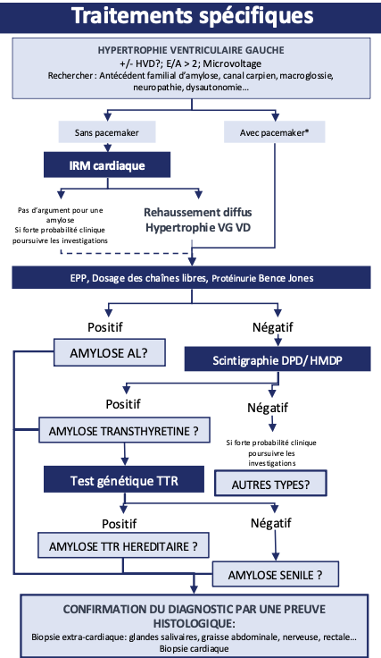 Le point sur les amyloses cardiaques
